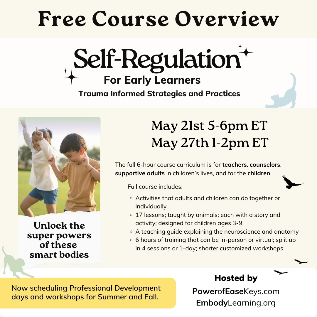 Free Course Overview Website